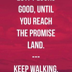 Meet your Posher, Harold